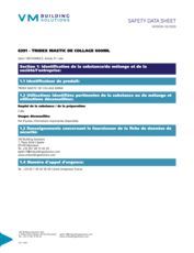 Tridex mastic de collage 600ML - SDS