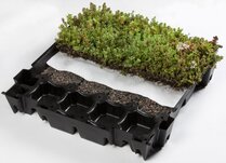 HERBAROOF CASSETTE 46X49X8CM