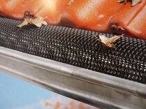 FILET ANTI-FEUILLE PE D130-180MM 2M