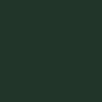 IZEON 6MM 3050X1530MM R6009 VERT SAPIN