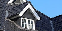 MAXIMA PRO PAN FINESSE ZWART 10/M2