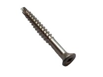 SIDING VIJS 45X4MM INOX A2 (100)