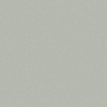 METEON 6MM 3050X1530MM A0340 GRIS ARGENT