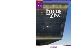 Focus on Zinc 14 (ES version)