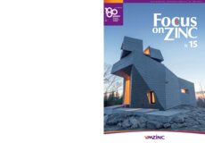Focus on Zinc 15 (ES version)