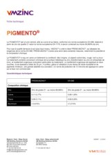 Fiche technique PIGMENTO